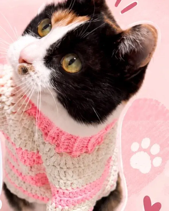 Pink & cream нэхмэл цамц