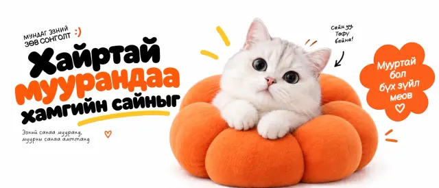 Мундаг эзний зөв сонголт :) Хайртай муурандаа хамгийн сайныг. Эзний санаа мууранд, муурны санаа амттанд ♡ Сайн уу, Төфү байна! Мууртай бол бүх зүйл меов ♡