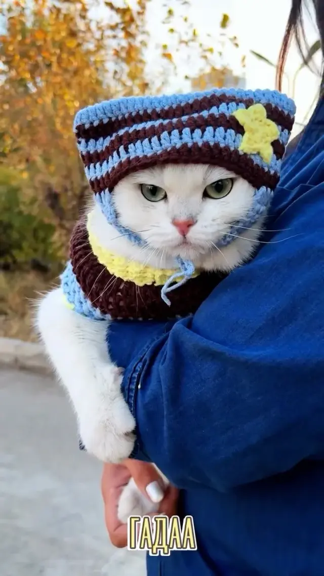 Намрын малгай, ороолт